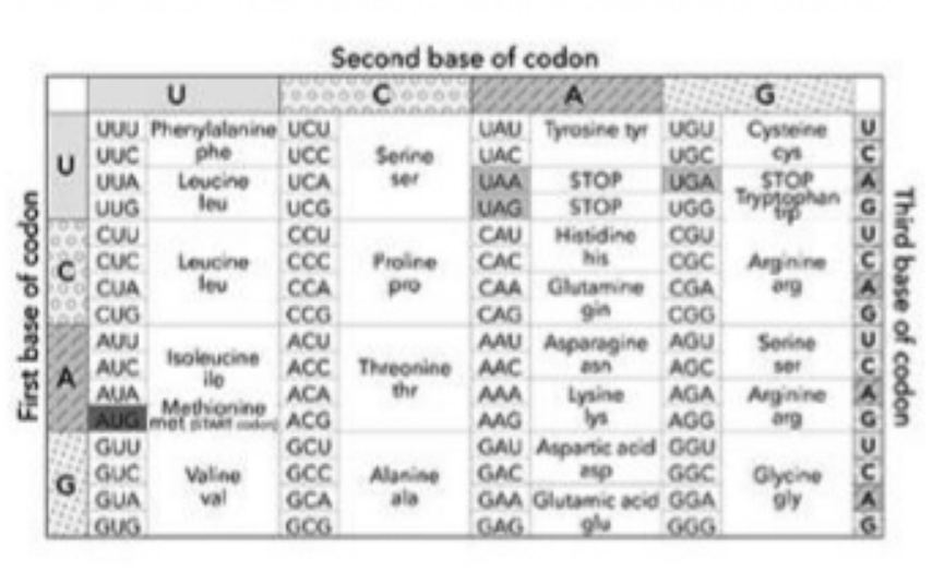 Genetic Code Table